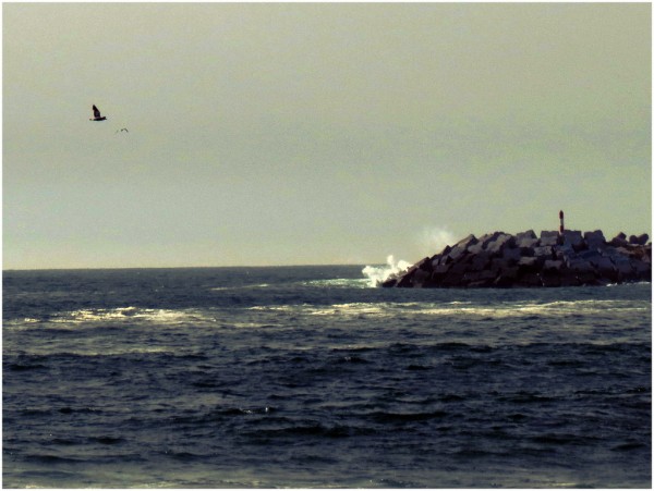 Praia dos Pescadores. - ph. ParkTV