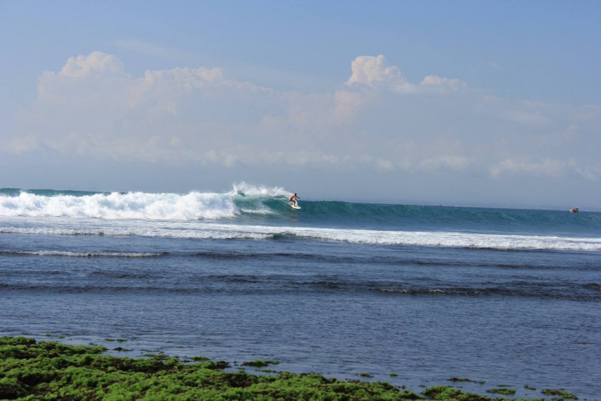 Osório - Indo. ph. Gonçalo Osório