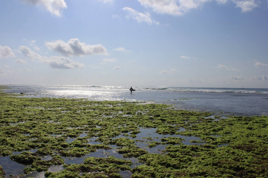 Osório - Indo. ph. Gonçalo Osório