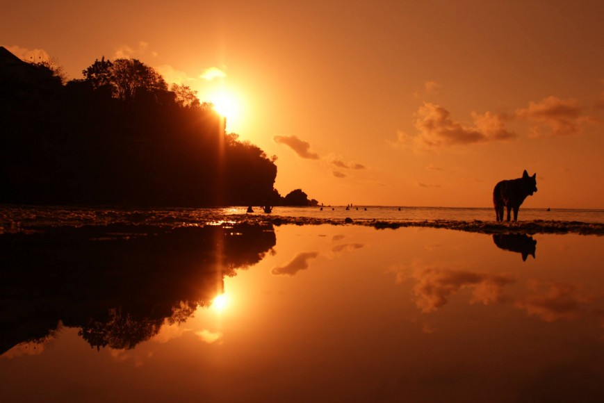 Osório - Indo. ph. Gonçalo Osório