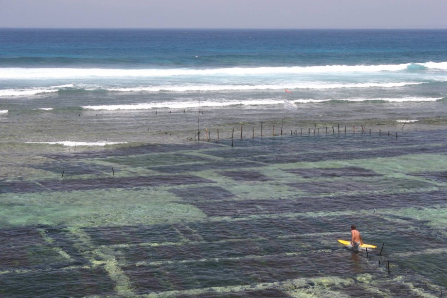 Osório - Indo. ph. Gonçalo Osório