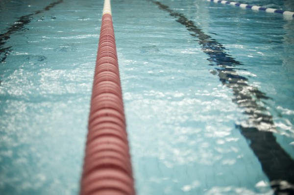 Natação. - ph. Michael Lokner