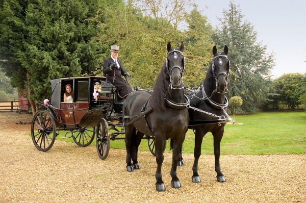 Concurso Internacional Atrelagem 2014. - ph. DR