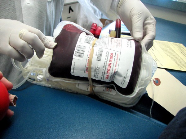 Sangue. - ph. Jessica Wilson