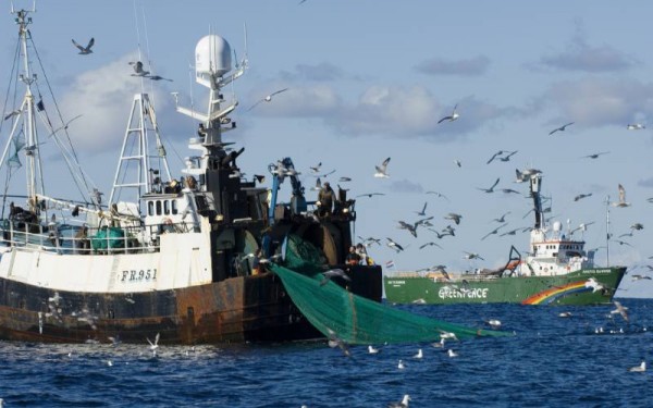 Pesca por arrasto. - ph. Greenpeace