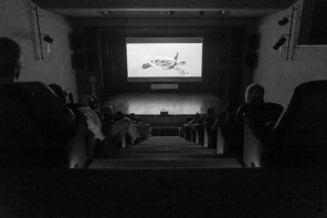 Save the Waves Film Festival regressa à Ericeira