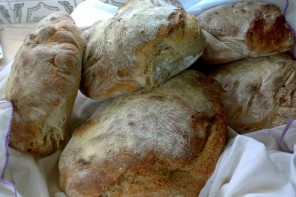 Vai ser apresentado o projecto da Carta Gastronómica da Região Saloia