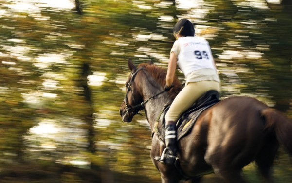 Equitação. - ph. Patrick Goossens