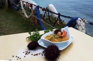 Sea urchin festival returns to Ericeira for the 7th edition