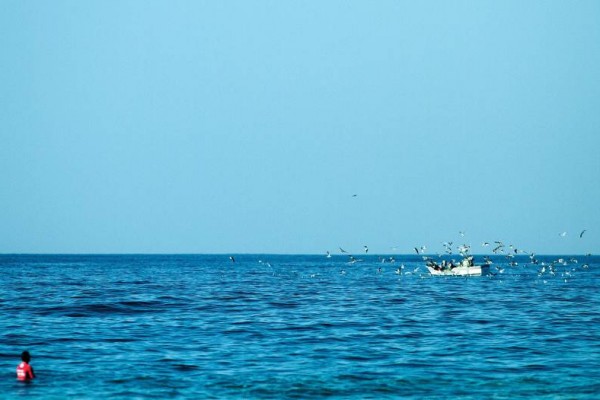 Frame #1 - ph. José Guerra