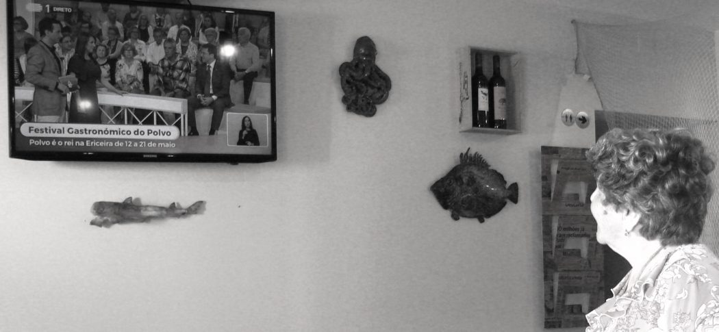 Os polvos “de Fernanda" também vão à televisão.