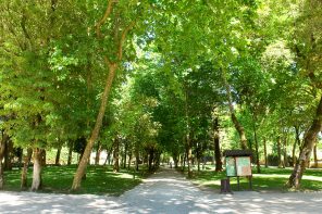 Iniciativa municipal dá visibilidade aos jovens talentos musicais de Mafra