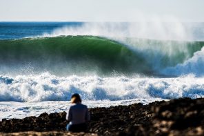 Video of the Week #462