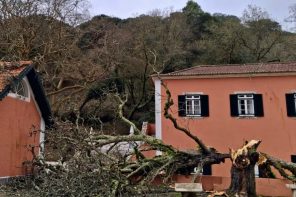 Tapada Nacional de Mafra vai receber investimento de 107 mil euros