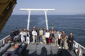 Criação da Área Marinha Protegida Cascais | Mafra | Sintra entra em nova fase